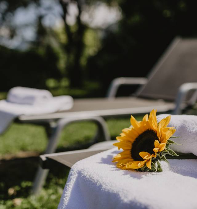 Sonnenblume liegt auf Handtuch auf einem Gartenstuhl im Sommer 
